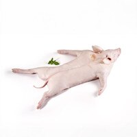 A whole, raw suckling pig splayed stomach-side down against a white background with a green herb sprig nearby.