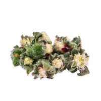 Fresh Ice Buds-1