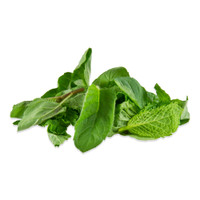 clusters of assorted green mint leaves