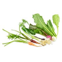 miniature carrots, leeks, radish & turnip with stalks on