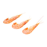 Argentinian Red Shrimp-1