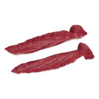2 whole raw grass-fed farmed venison tenderloins from New Zealand